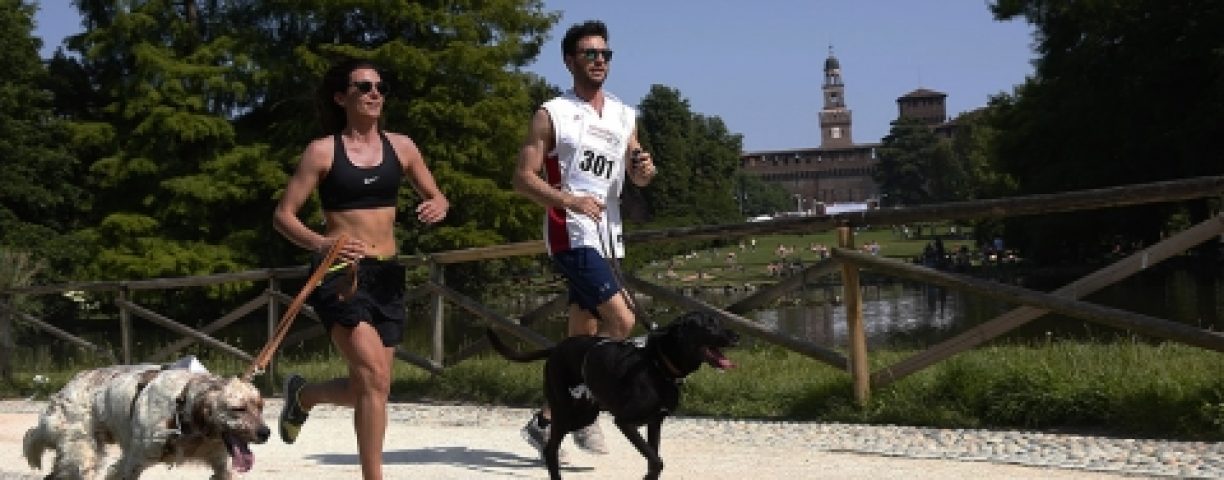 05_12_advantix02-480x320-1