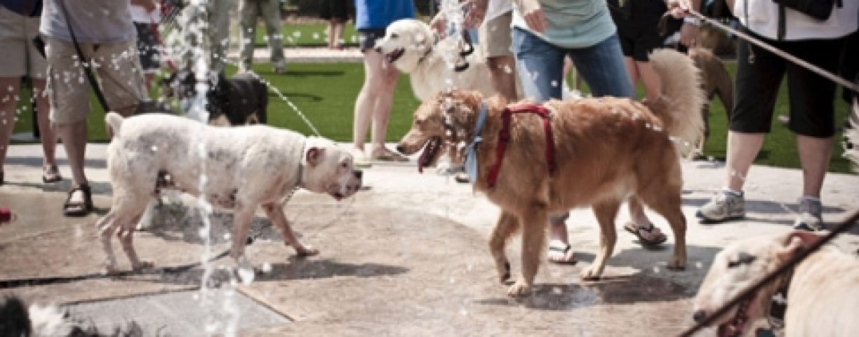 07_14_park02-480x320-1