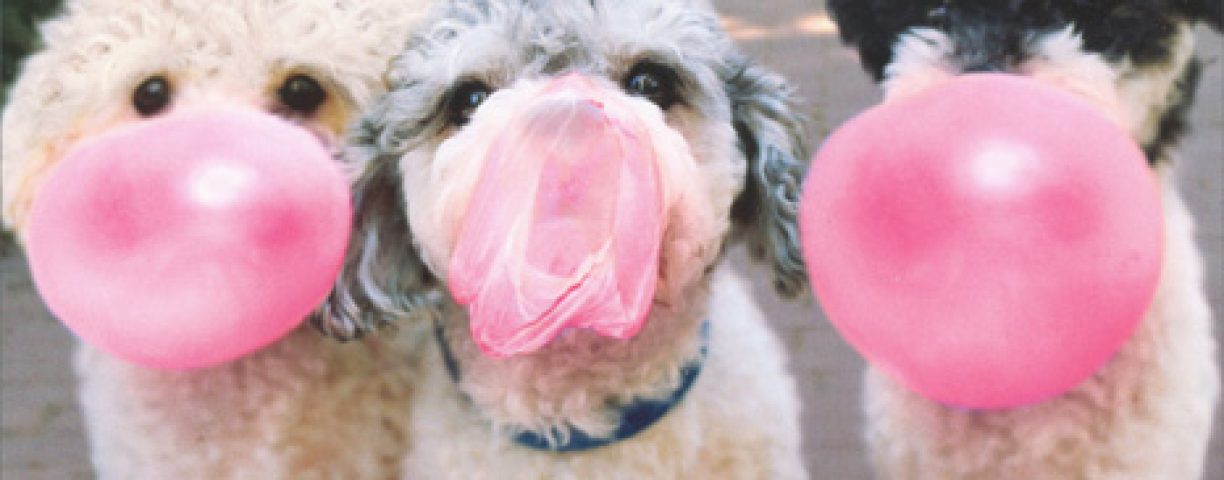 bubbles-2