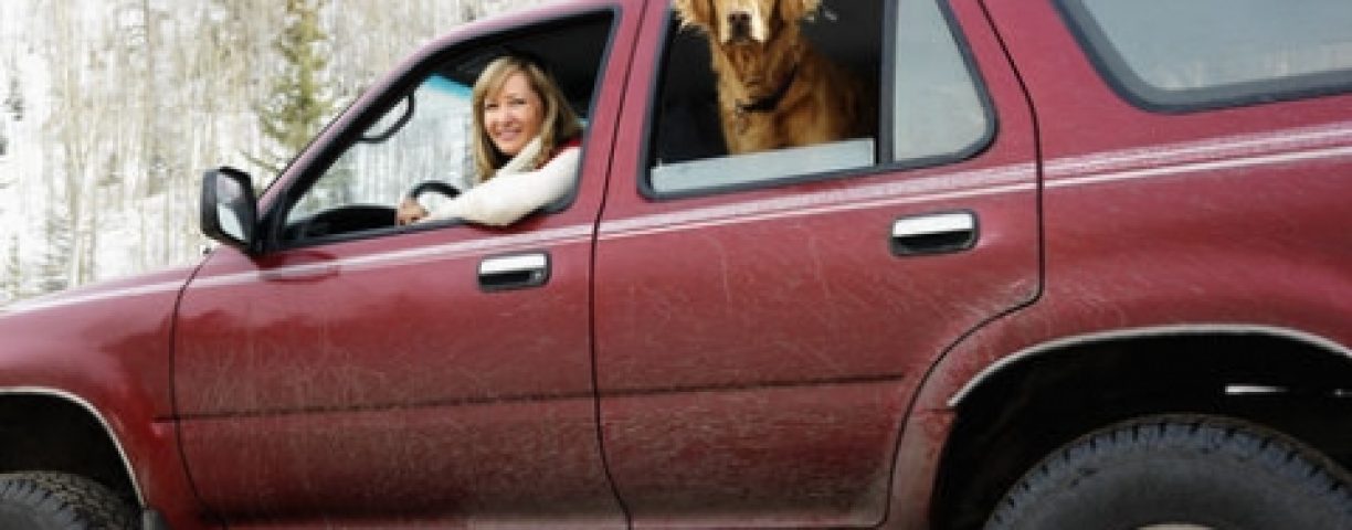 dog_suv-480x388-1