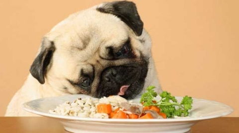 04_28_vegan03