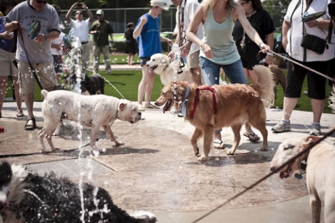 07_14_park02