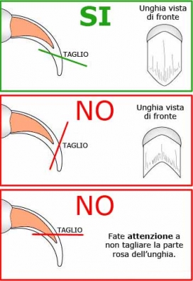 TAGLIO-UNGHIE1